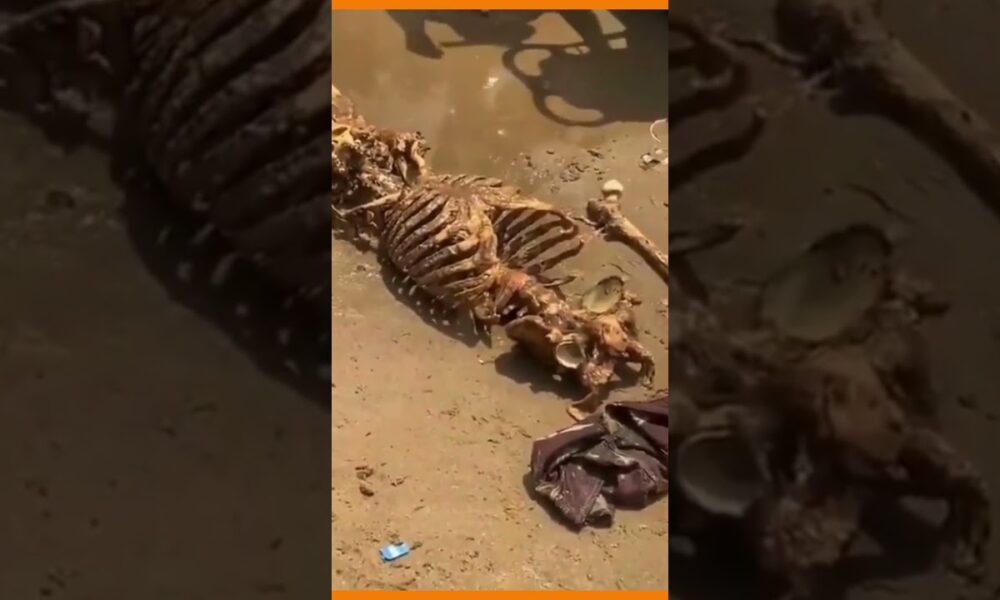 Banhistas Encontraram Um Esqueleto Humano Na Praia De Ponta Negra Em